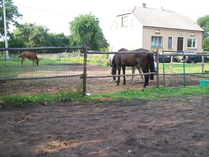 Razem 029.jpg