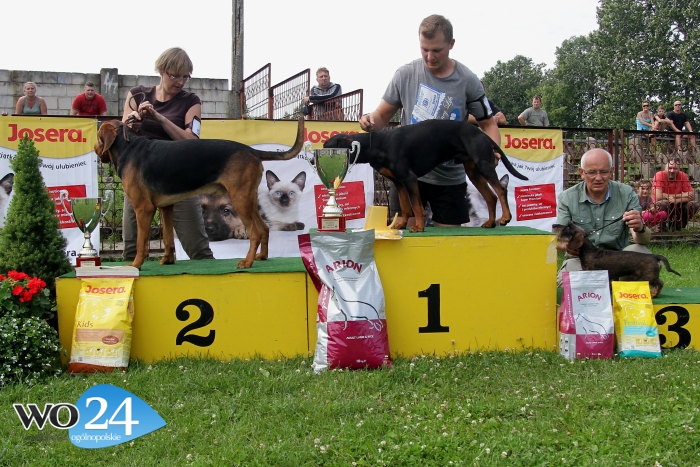 Wystawa Olsztyn 2012 Smyk.jpg