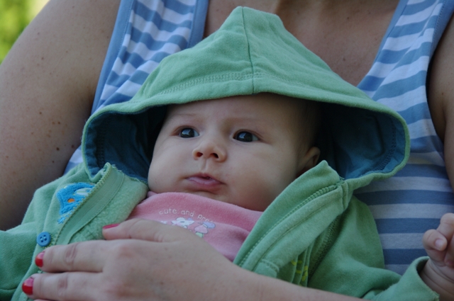 Eliś