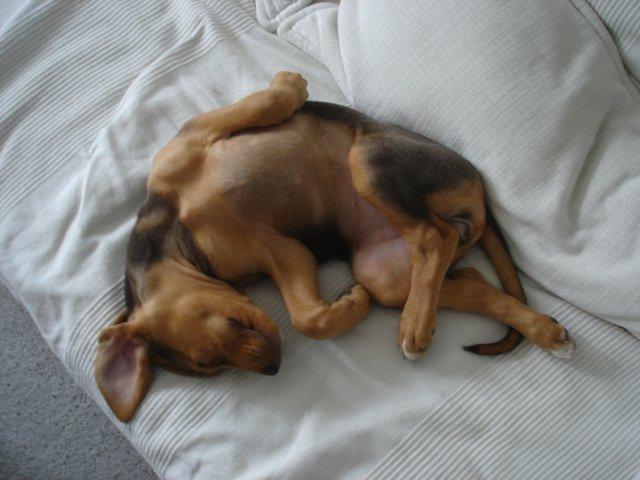 2011 10 04.jpg