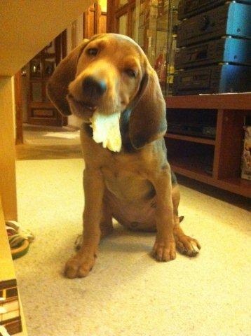 2011 10 25.jpg