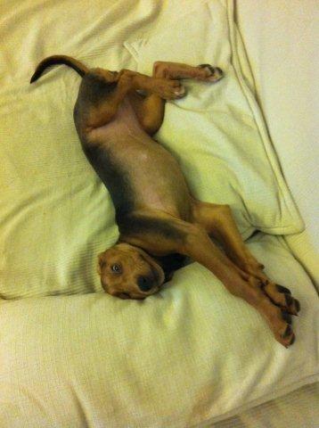 2011 10 25a.jpg