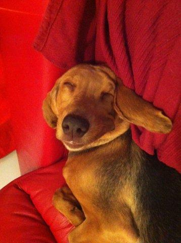 2012 01 02 Happyface.jpg