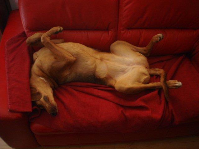 2012 03 18 Kola do gory.jpg