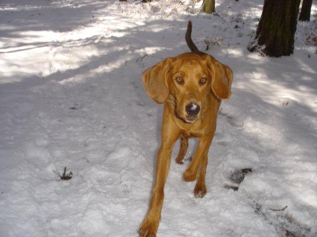2012 04 08 Powrot zimy.jpg