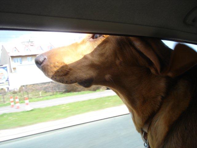 2012 04 22 Race.jpg