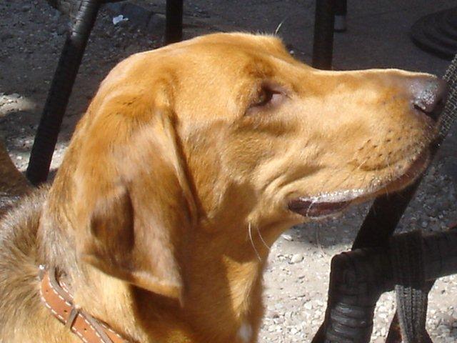DSC06003.jpg