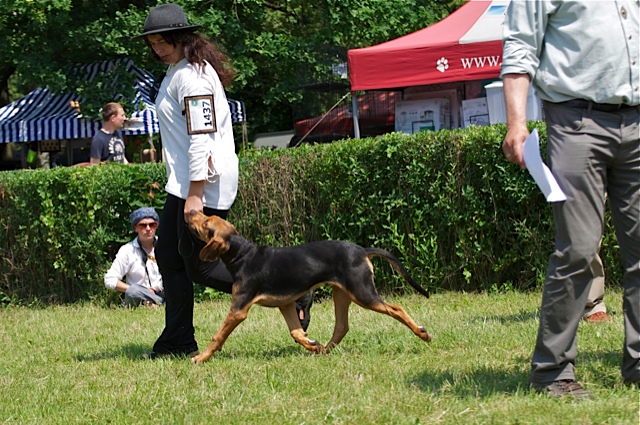 DRUŻBA