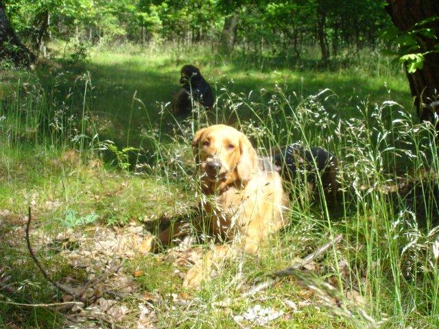 DSC06044.jpg