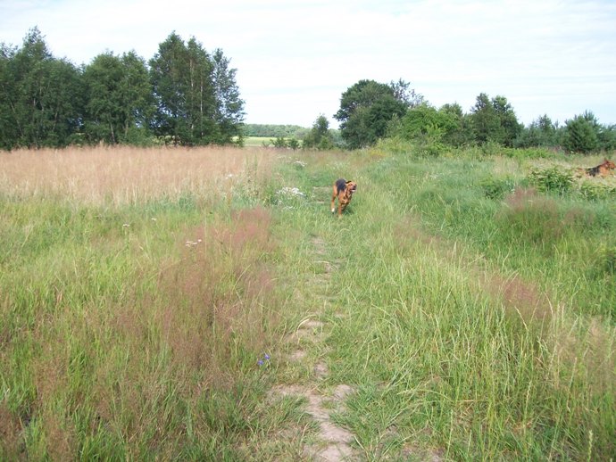 Czesna.jpg