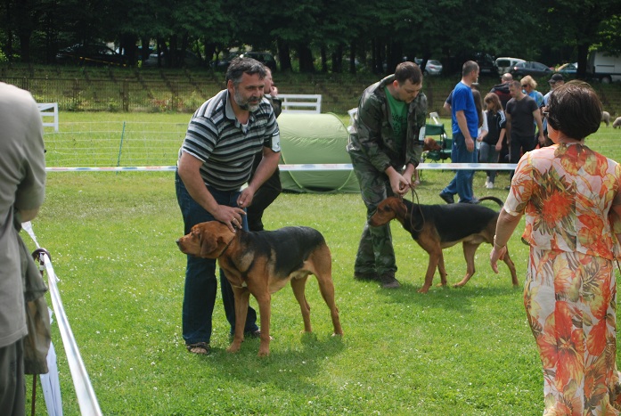 DSC_0041.JPG