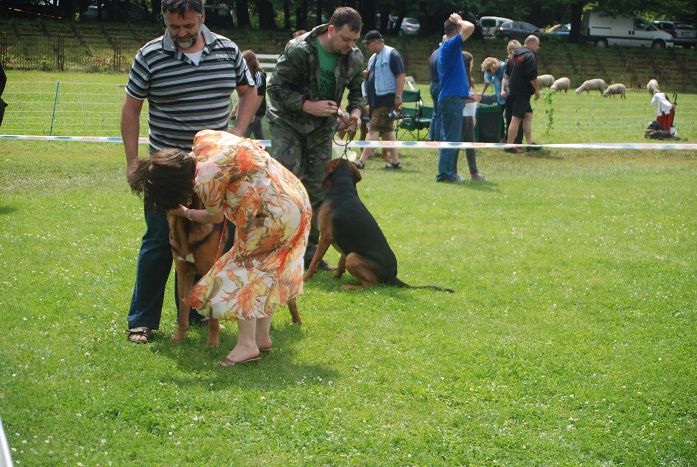 DSC_0043.JPG