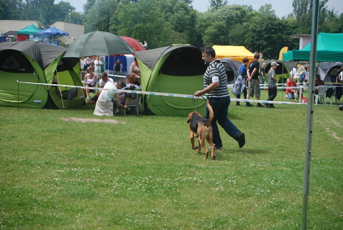 DSC_0046.JPG