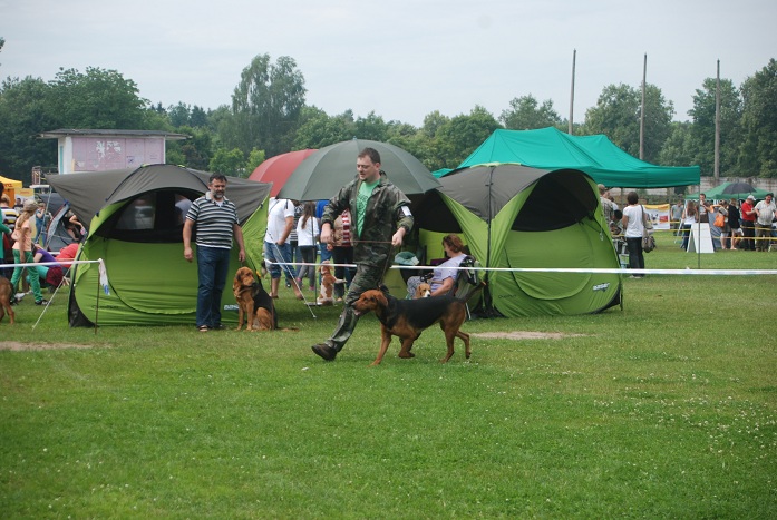 DSC_0058.JPG