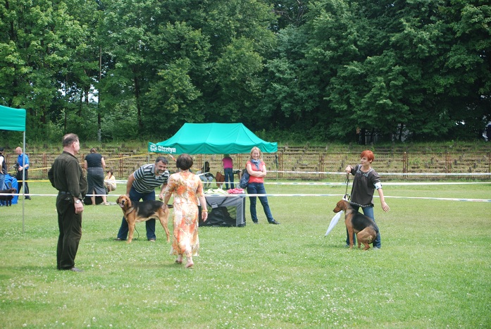 DSC_0085.JPG