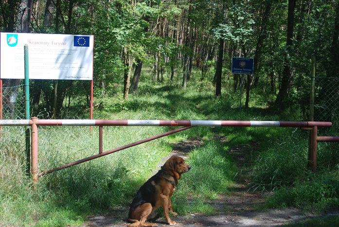 Pilnuję granicy Unii Europejskiej z Federacją Rosyjską.