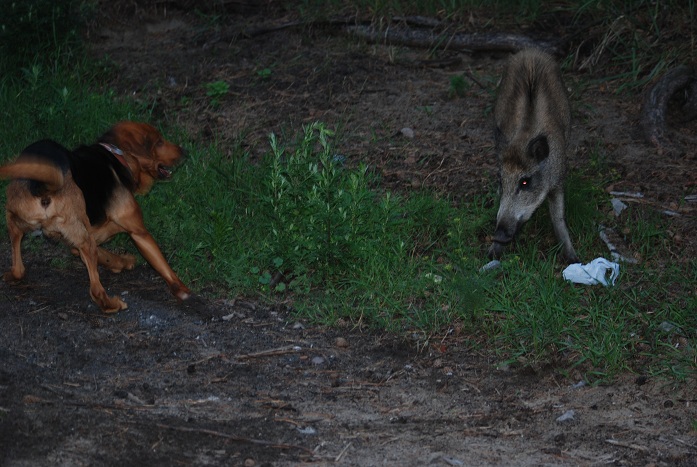 DSC_0357.JPG