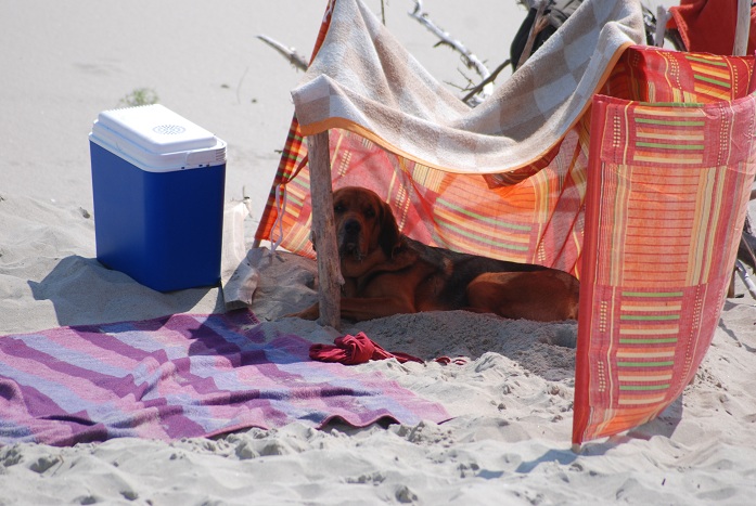 Kolejny dzień na plaży. Odpoczywam.