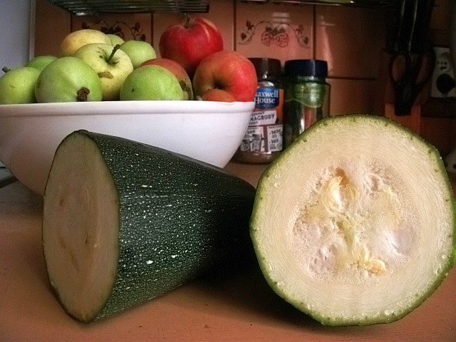 Warzyw wprawdzie nie mamy, ale od czego sąsiad. Z takiej cukinii od niego usmażyłyśmy.......