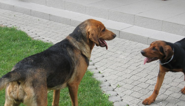 następna runkdka?