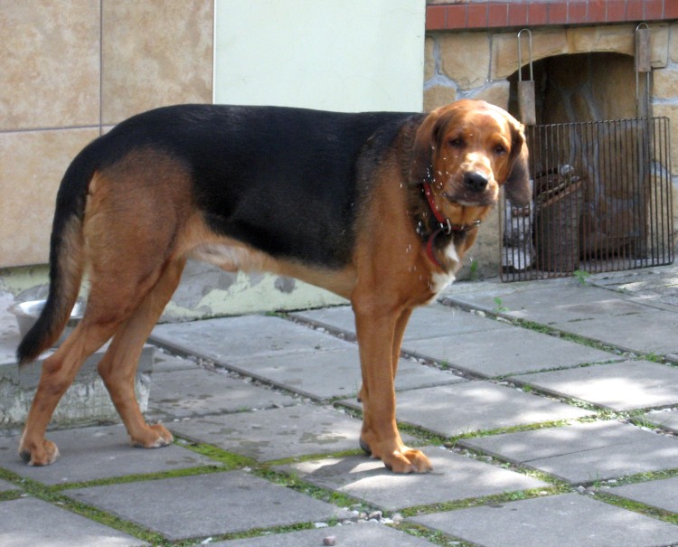 rodzinka lipiec2012 014.jpg