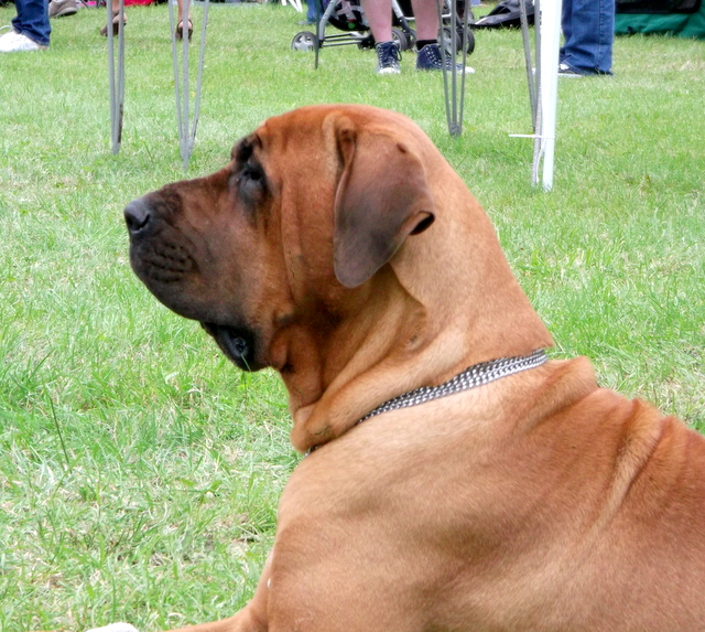 DSCF9640-001.JPG