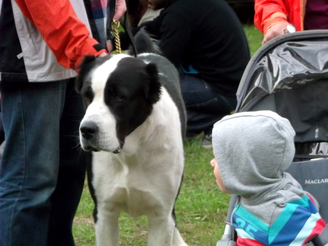 DSCF9673-001.JPG