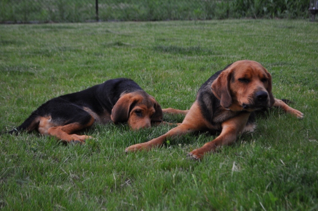 DSC_0470 (640x425).jpg