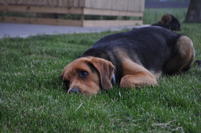 DSC_0479 (640x425).jpg