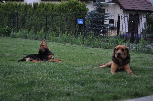 DSC_0491 (640x425).jpg