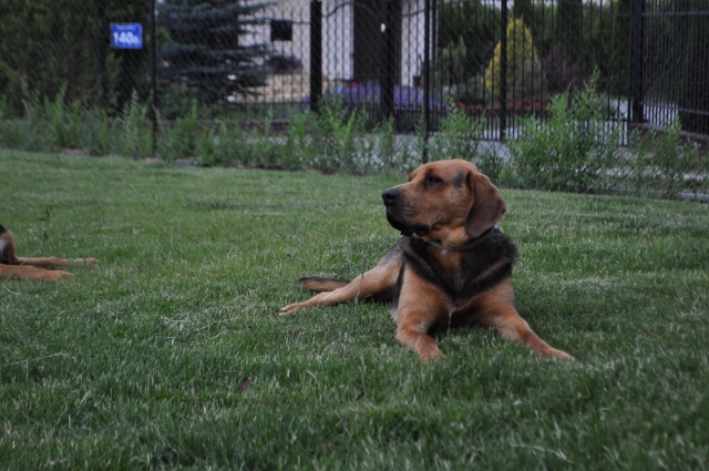 DSC_0494 (640x425).jpg