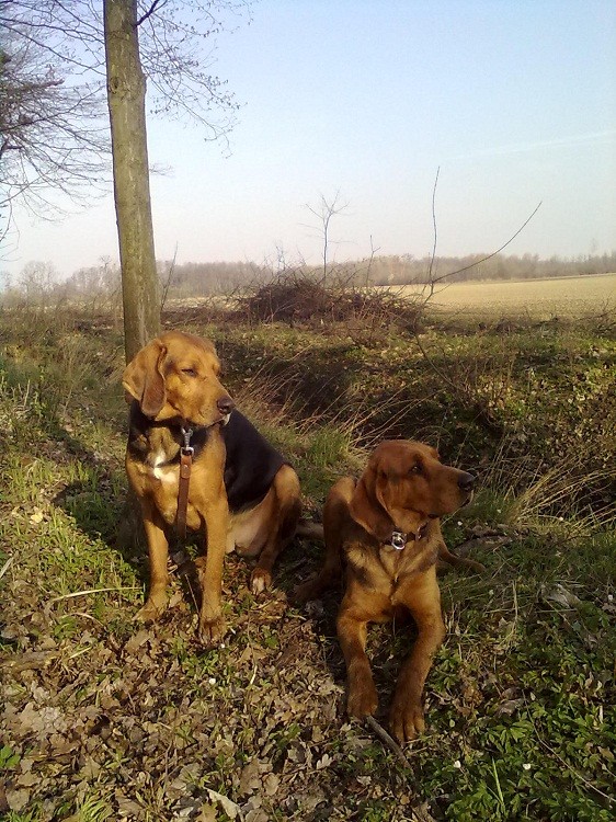 20120419397.jpg