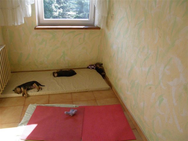 To się Żaby rozlazły:)