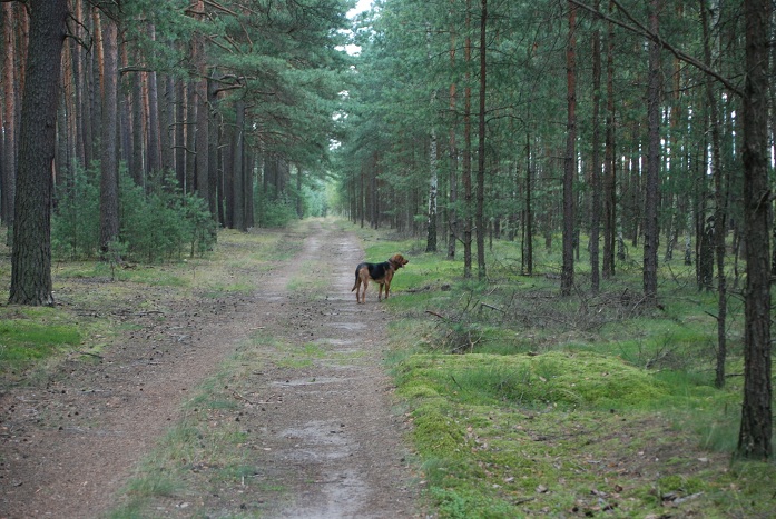 DSC_0991.JPG