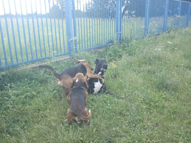 dsc00187ps.jpg
