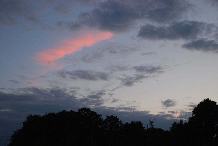 DSC_0045.JPG