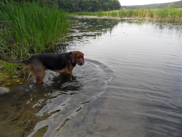Mazurskie klimaty.JPG