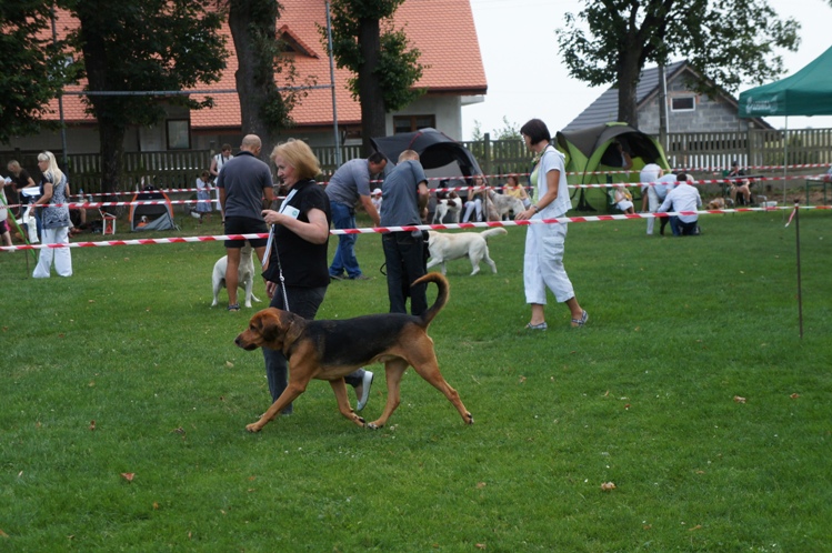 Ares