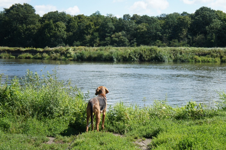 Ciekawska natura Czaty