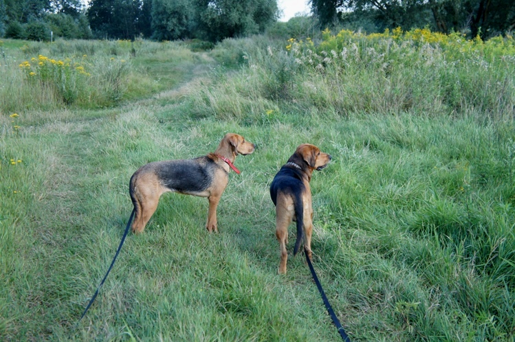 Ludzie, jak tu pięknie!