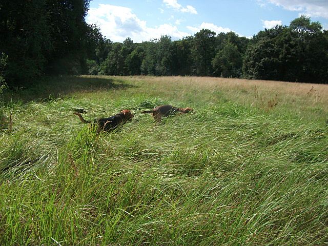 DSCF6562.JPG