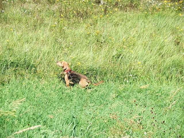DSCF6532.JPG