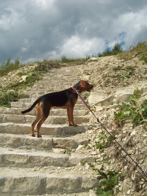 100_3876.JPG