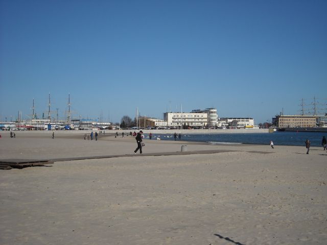 Oli 004.jpg