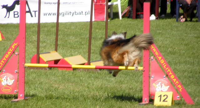 P8120473-001.JPG