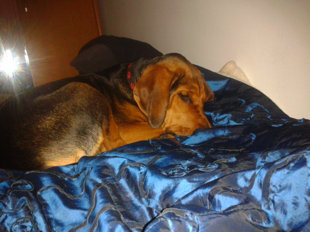 2012-08-17 01.18.53.jpg
