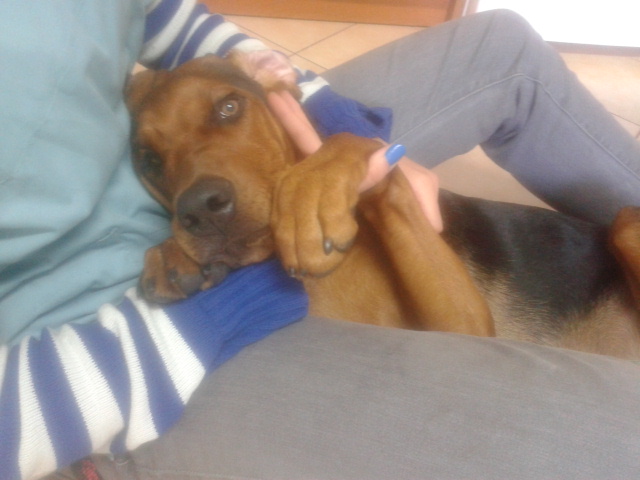 2012-08-17 18.20.54.jpg