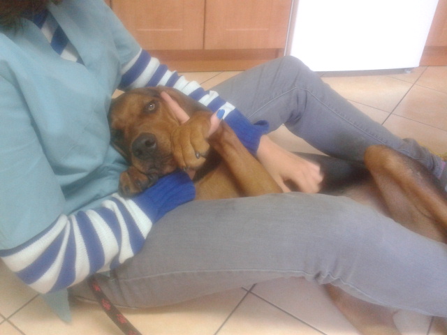 2012-08-17 18.20.41.jpg