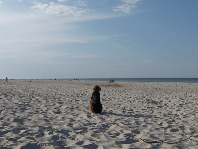 100_0261.JPG