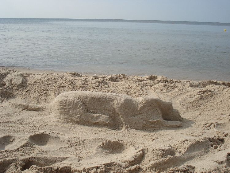 piaskowiec2.jpg